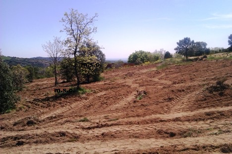 desbroces y limpiezas del terreno