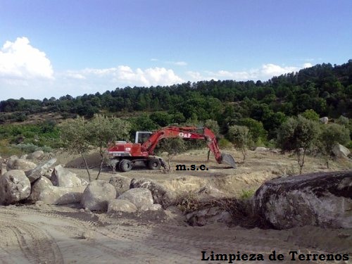 limpieza de terrenos fincas y parcelas